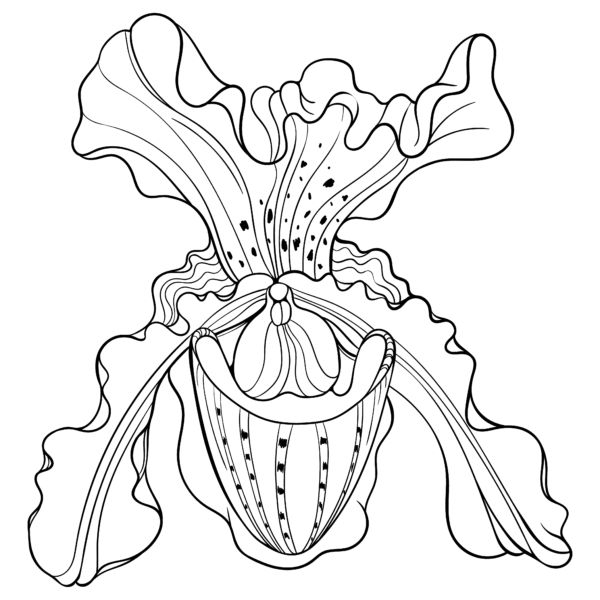 Coloring Pages For Pigment