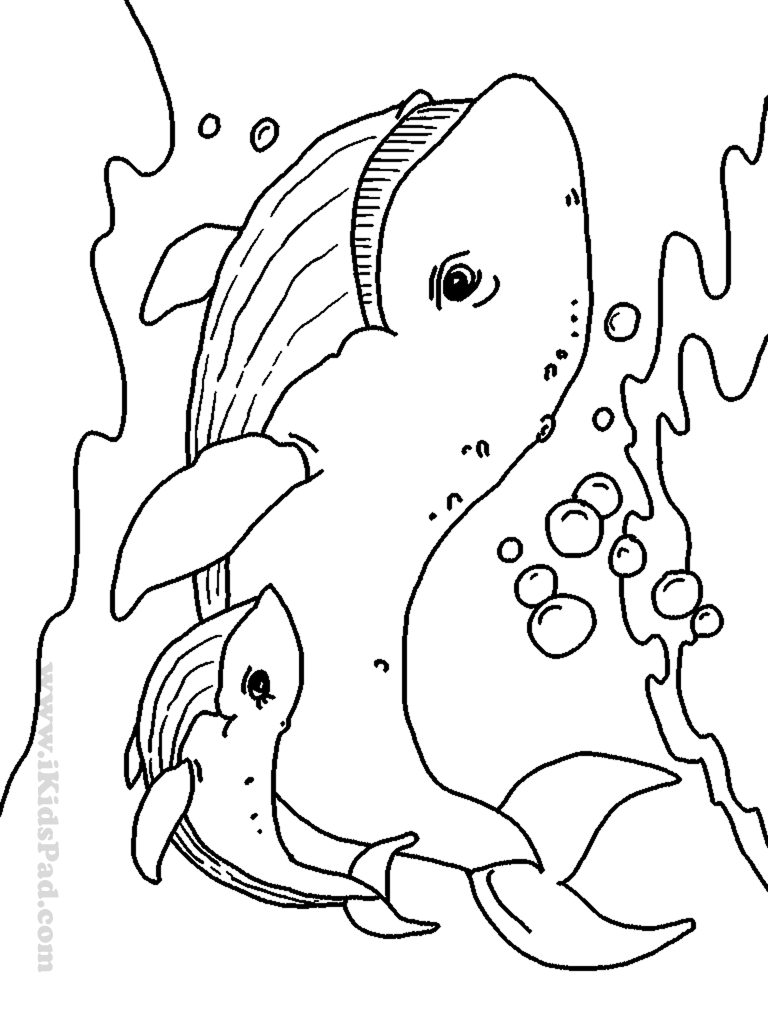 free printable sea life coloring pages