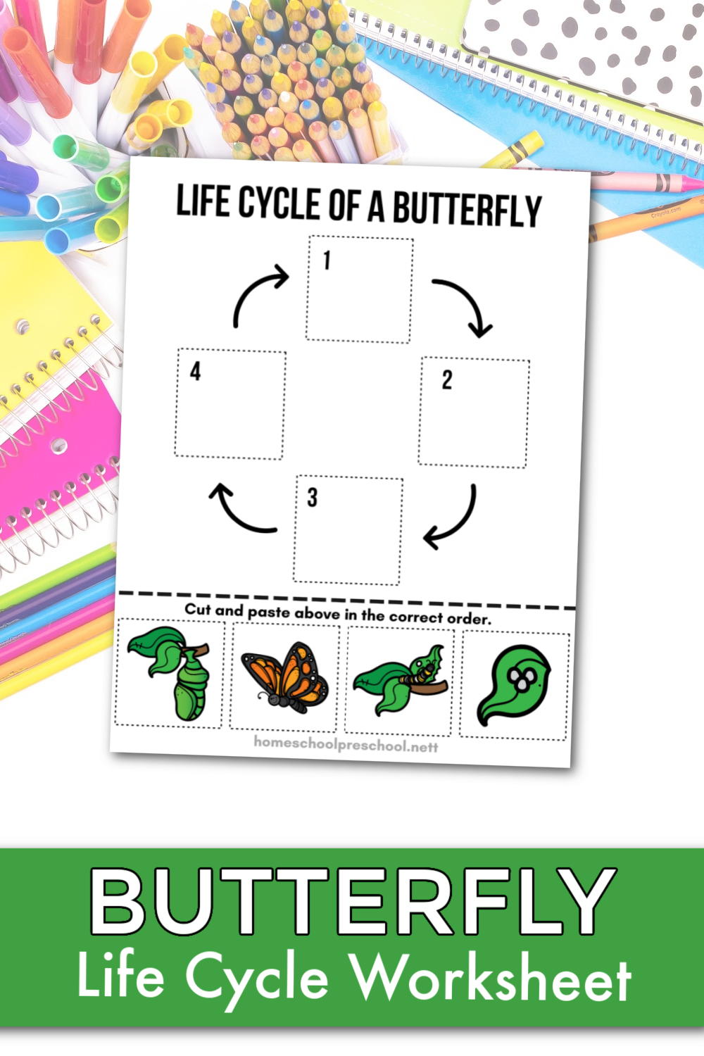 life cycle of a butterfly worksheets