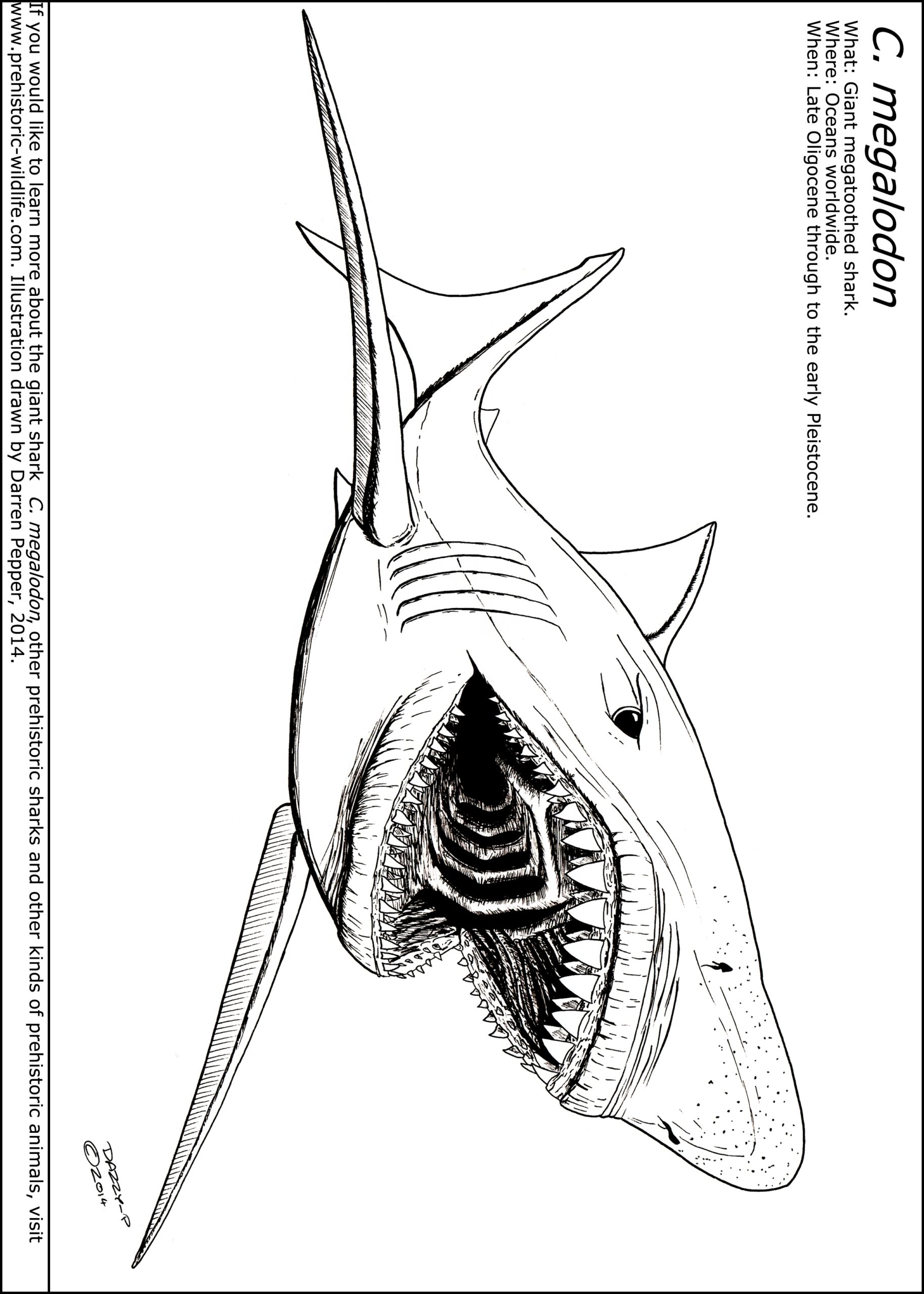 Coloring Pages Megalodon