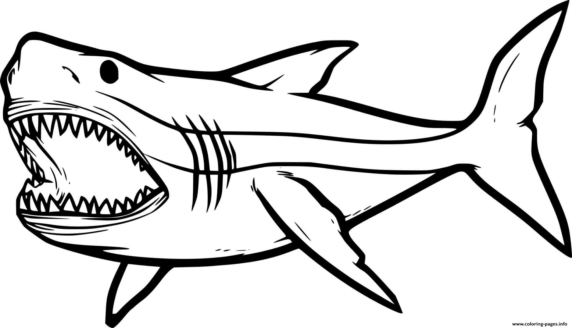 Swimming Megalodon Shark Coloring Page Printable