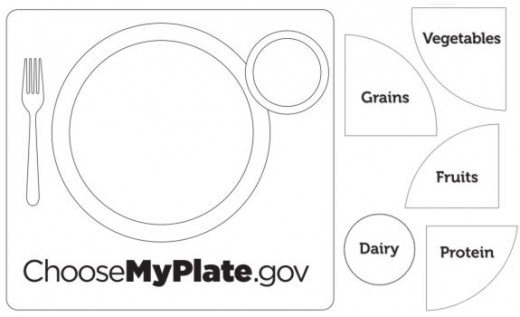 myplate worksheet