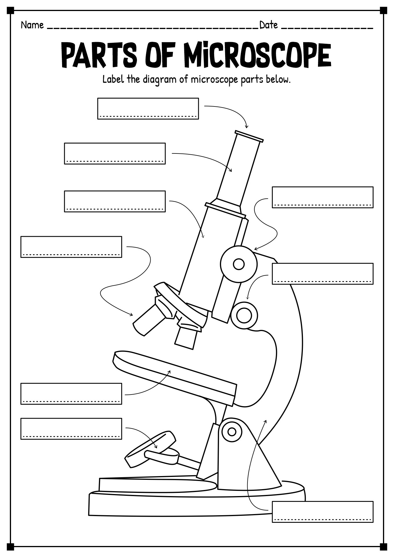 15 Printable Microscope Worksheet Free PDF At Worksheeto 