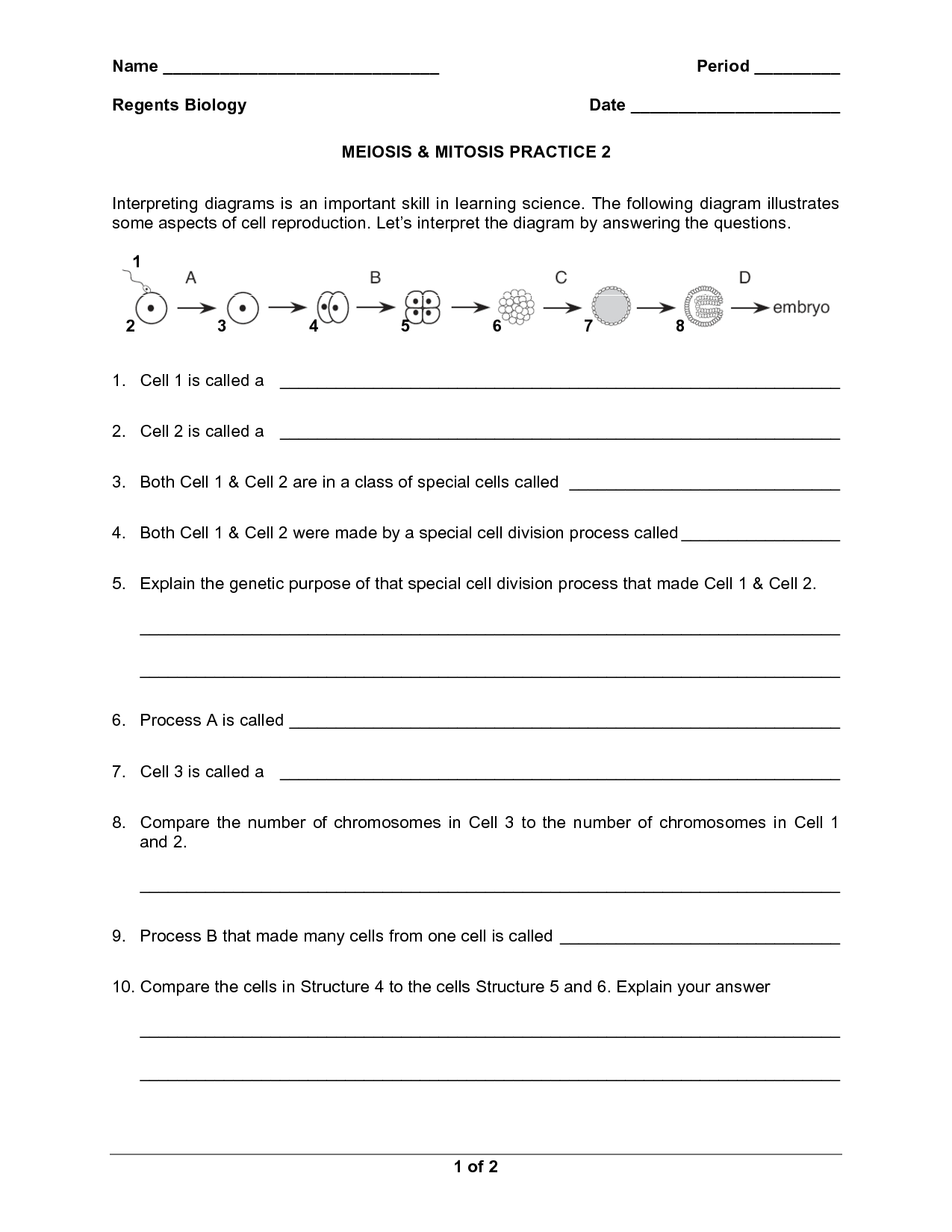 17 Meiosis Practice Worksheet Free PDF At Worksheeto