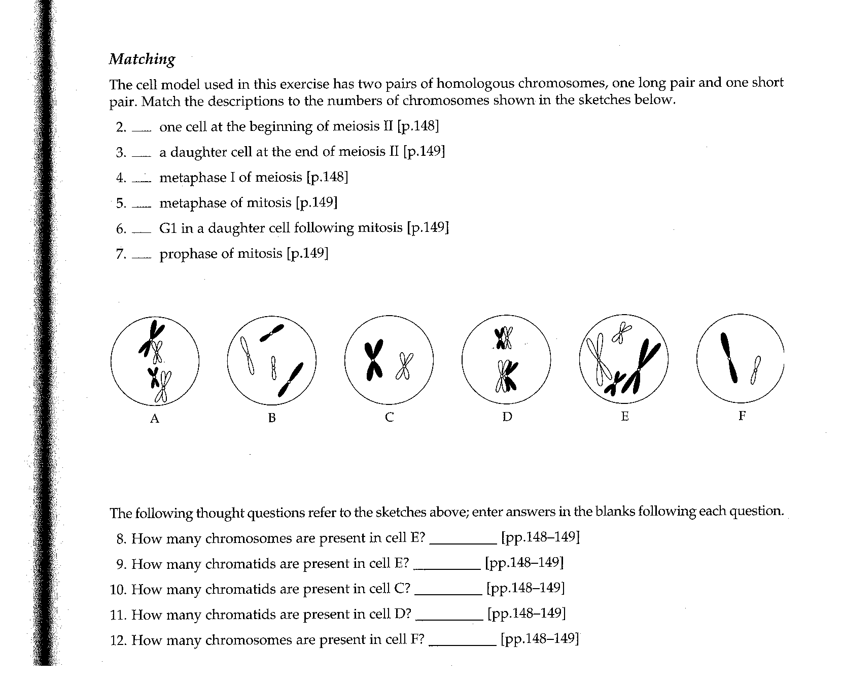 17 Meiosis Practice Worksheet Free PDF At Worksheeto