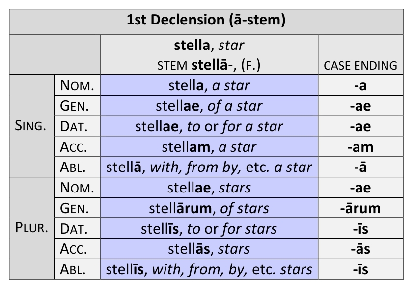 1st declension latin flash cards printable