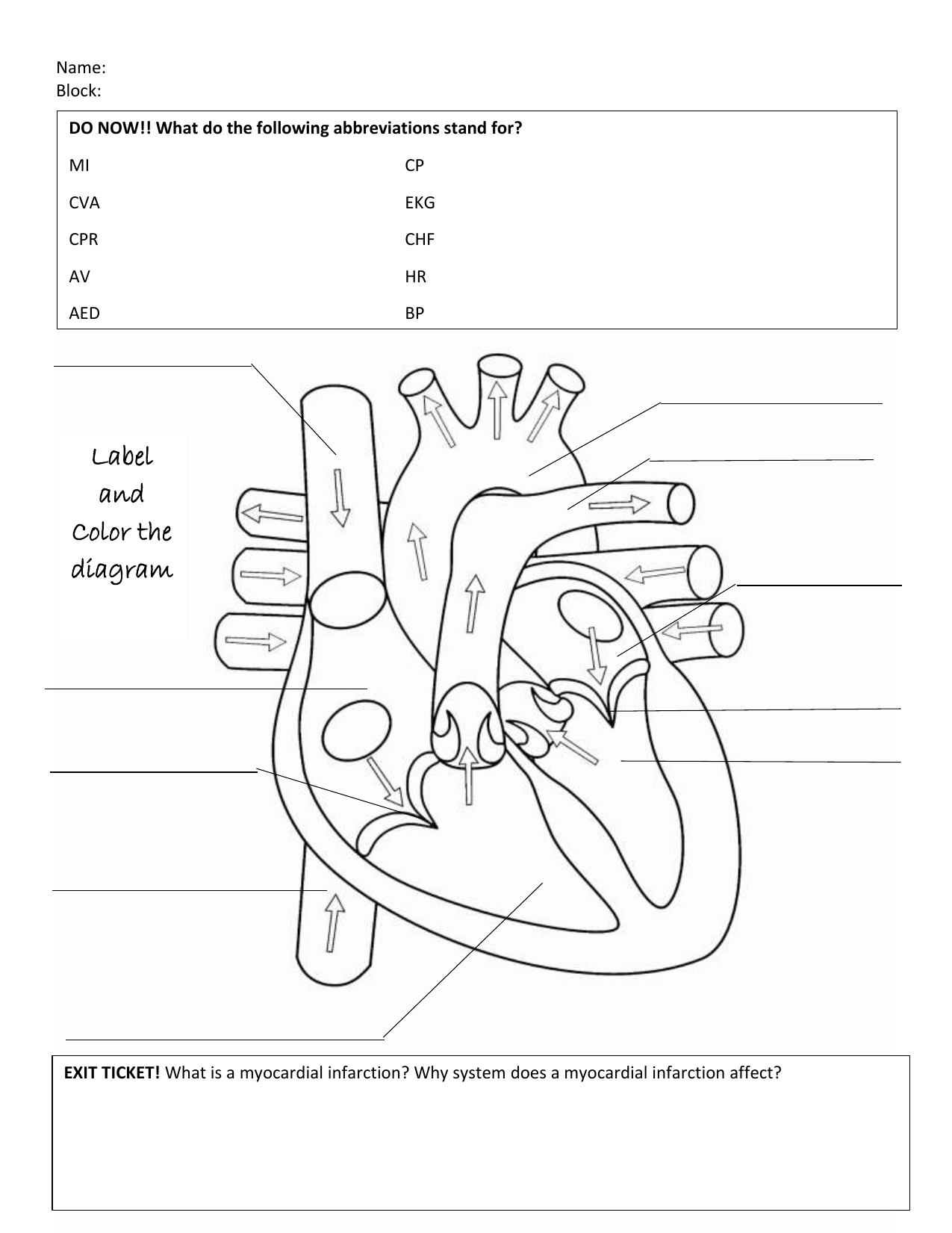 heart anatomy worksheet