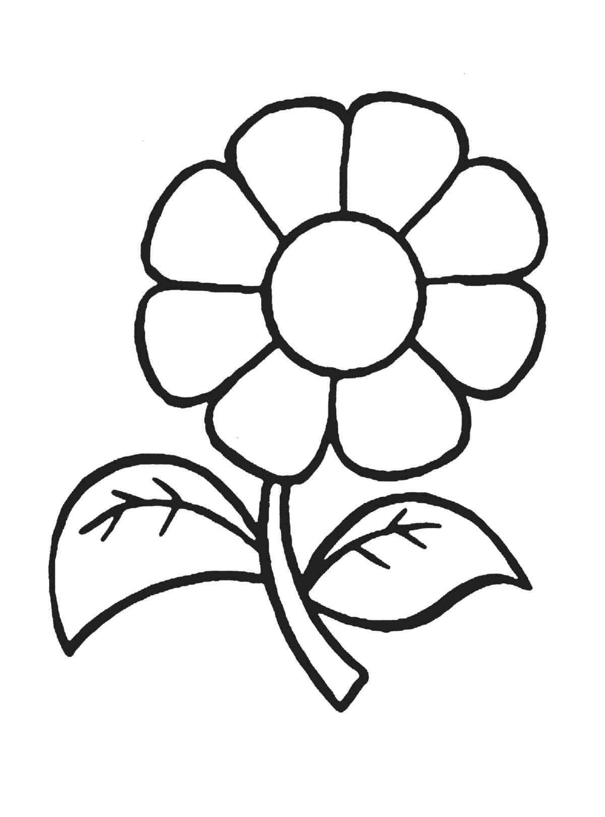 3 Year Old Coloring Pages