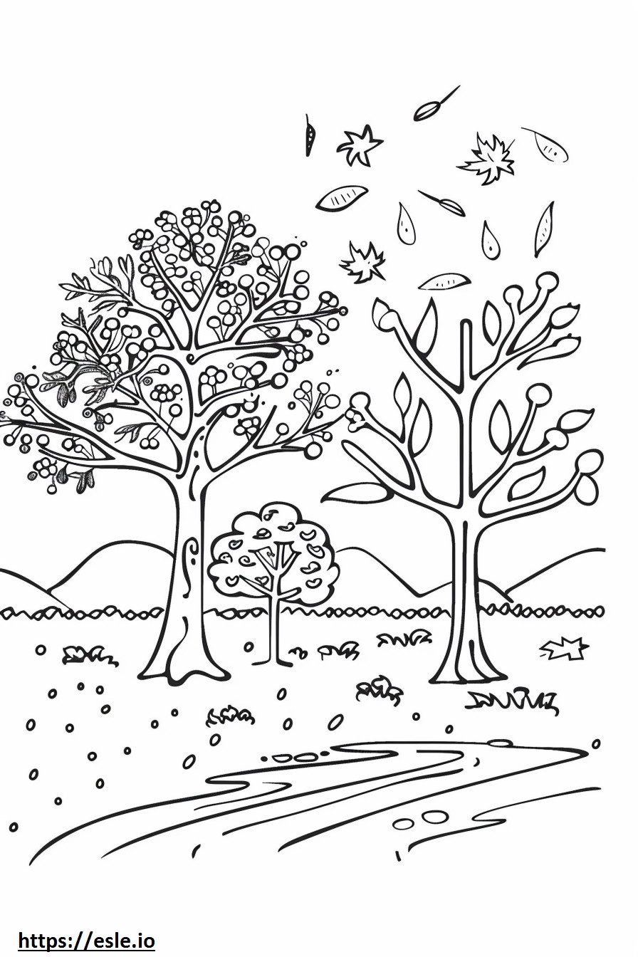 4 Seasons Free Printable