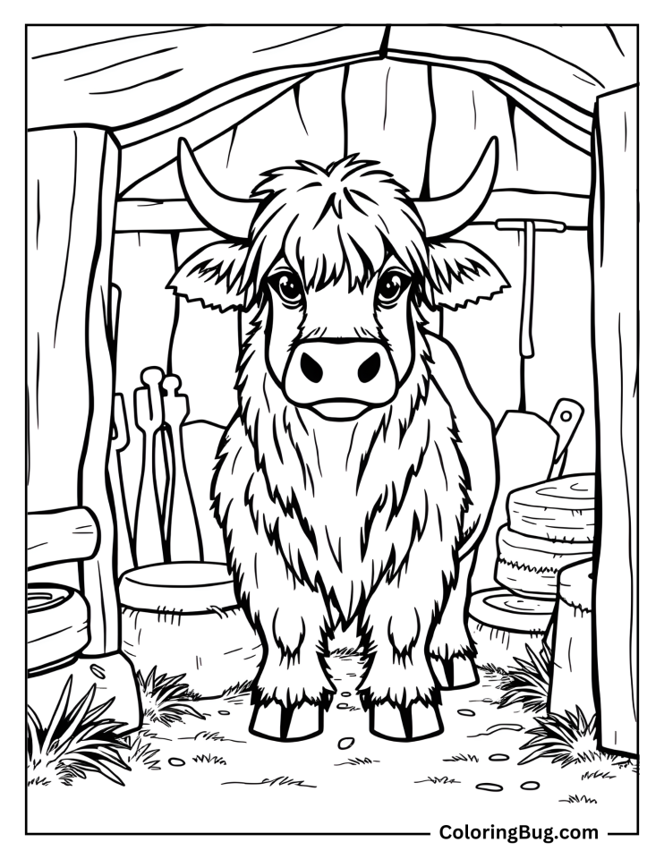 40 Highland Cow Coloring Pages Free Printable PDFs 
