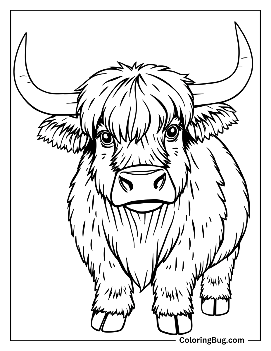 40 Highland Cow Coloring Pages Free Printable PDFs 