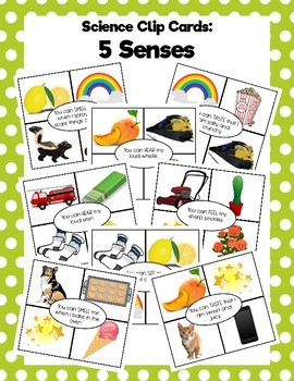5 Senses Clip Cards By Spec Ed Superstars Teachers Pay Teachers
