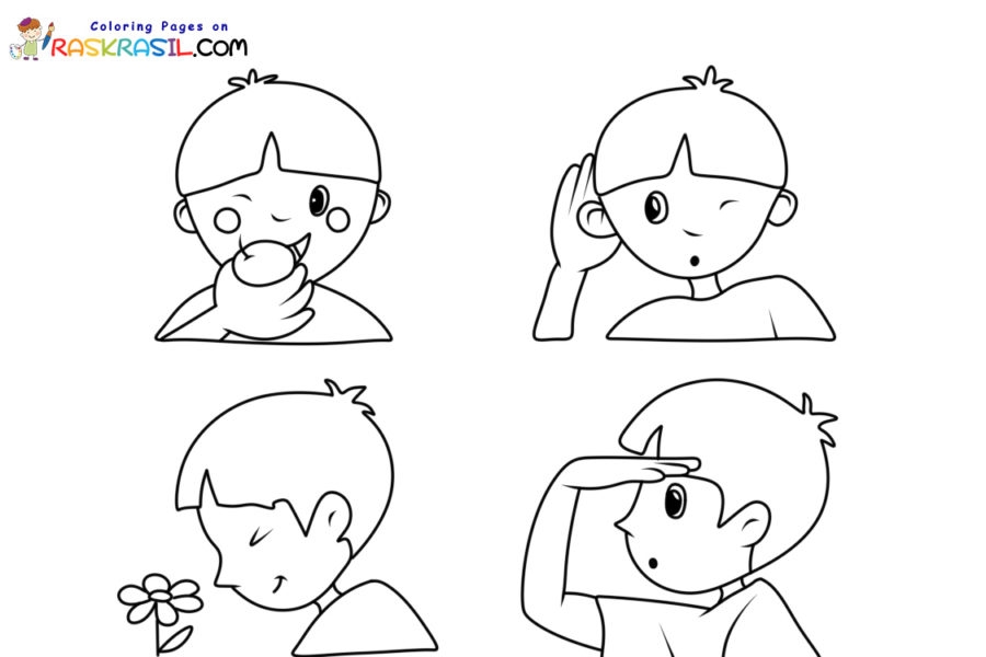 5 Senses Coloring Pages