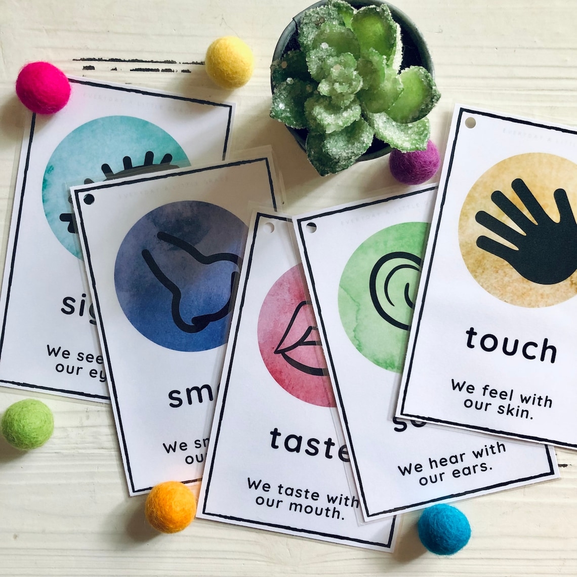 5 Senses Flash Cards Printable
