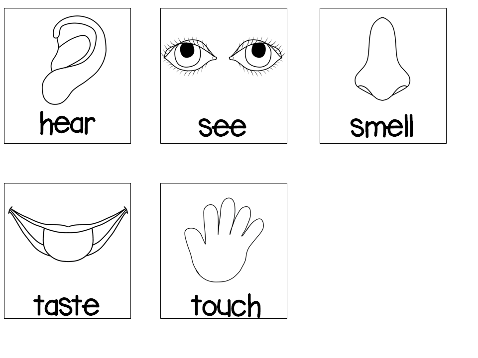 5 senses cards printable