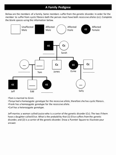 50 Genetics Pedigree Worksheet Answers
