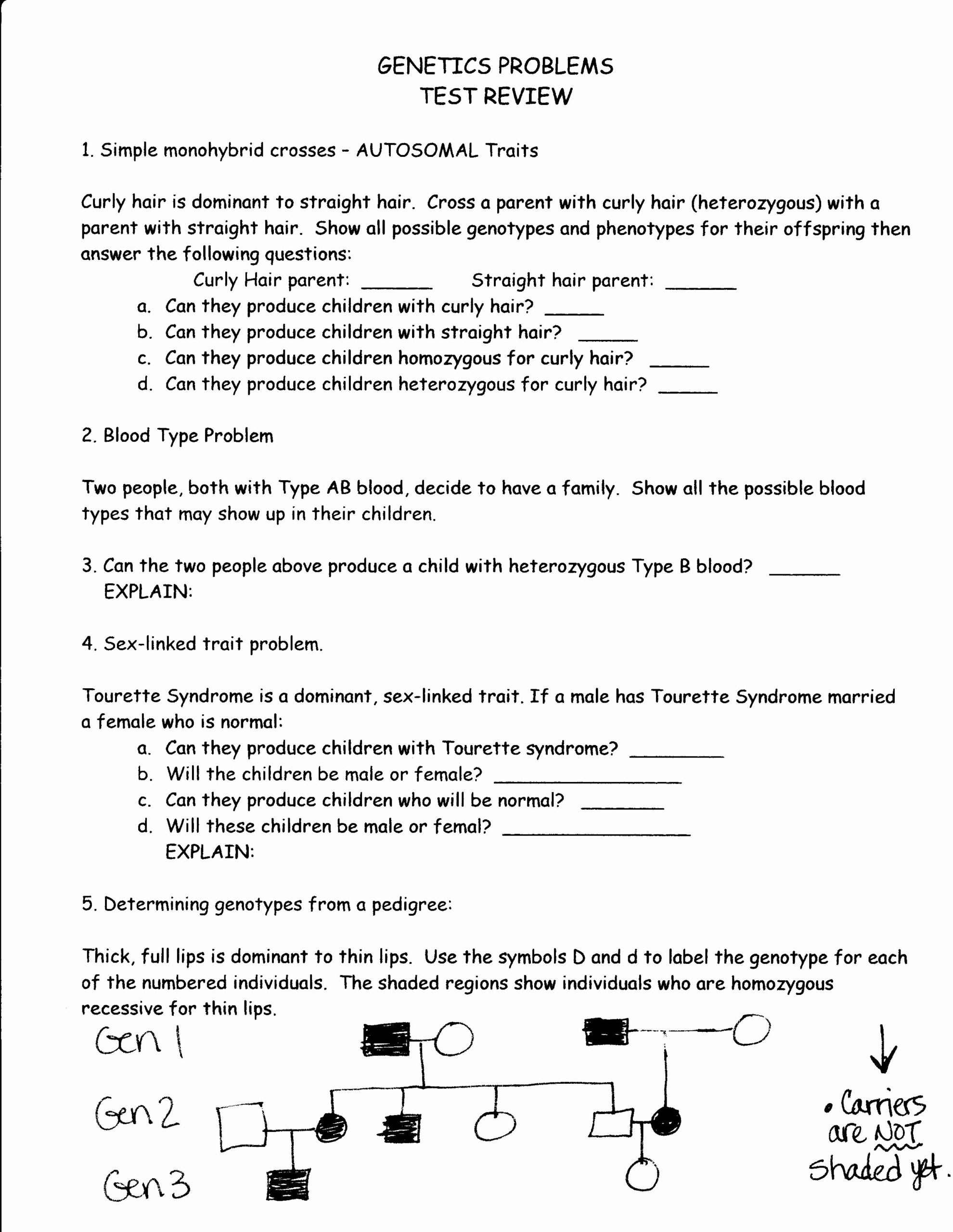 50 Genetics Problems Worksheet Answers Chessmuseum Template Library