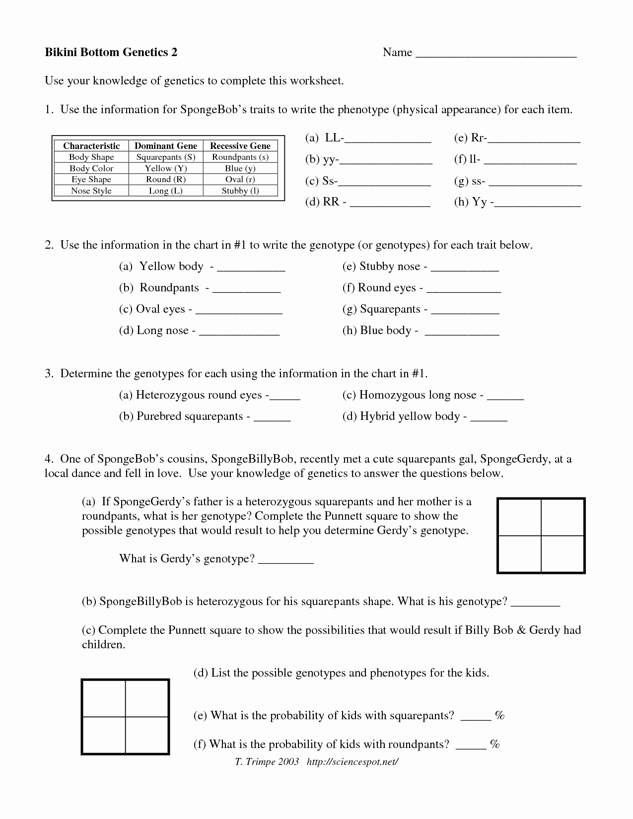 genetics worksheet answers