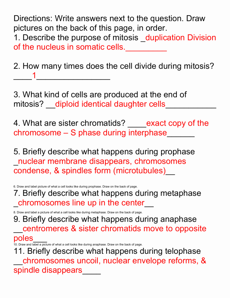 50 Mitosis Vs Meiosis Worksheet Answers
