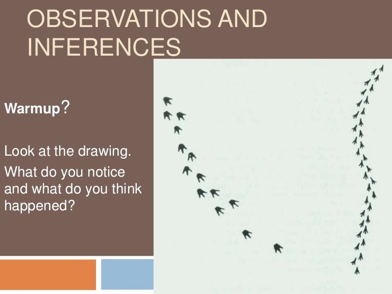 50 Observation Vs Inference Worksheet Chessmuseum Template Library