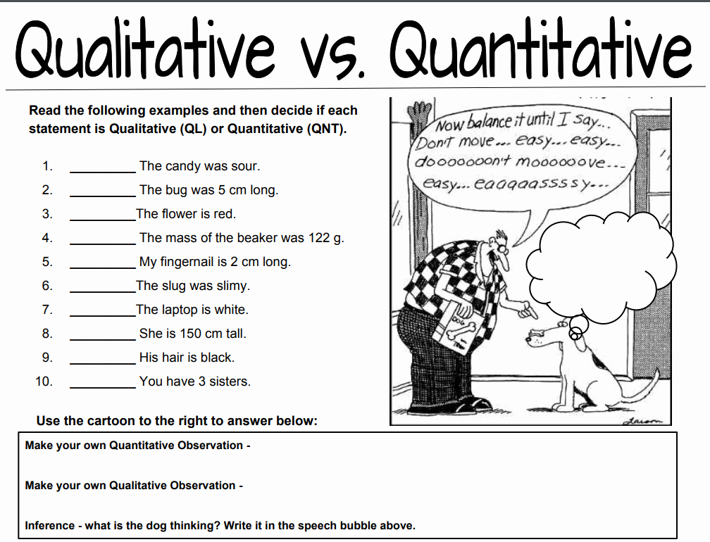 50 Observation Vs Inference Worksheet Chessmuseum Template Library