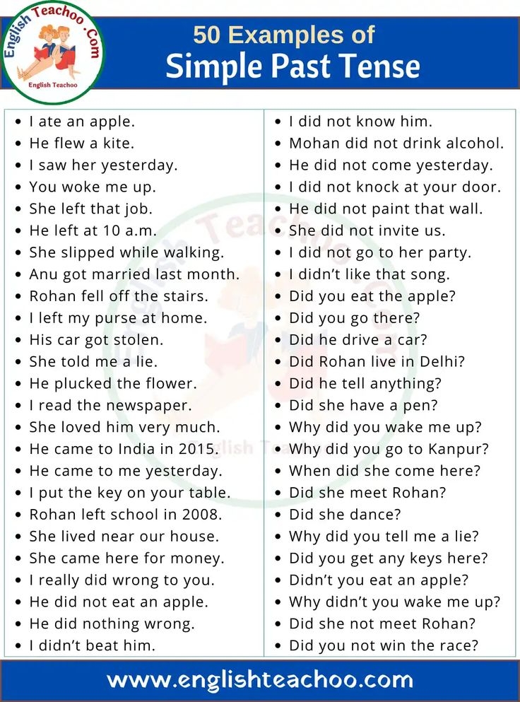 50 Past Indefinite Tense Examples In English