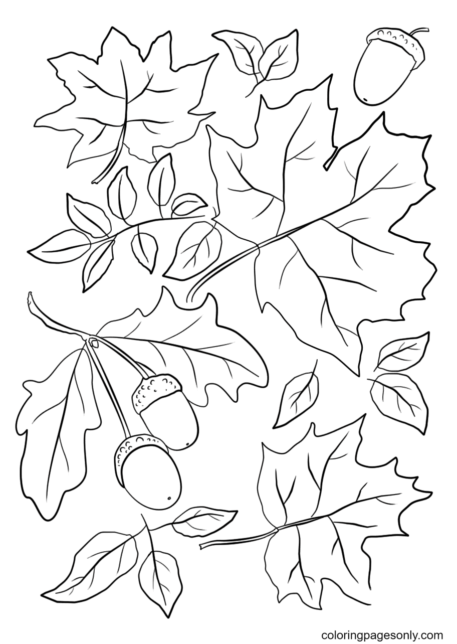 55 Autumn Leaves Coloring Pages ColoringPagesOnly