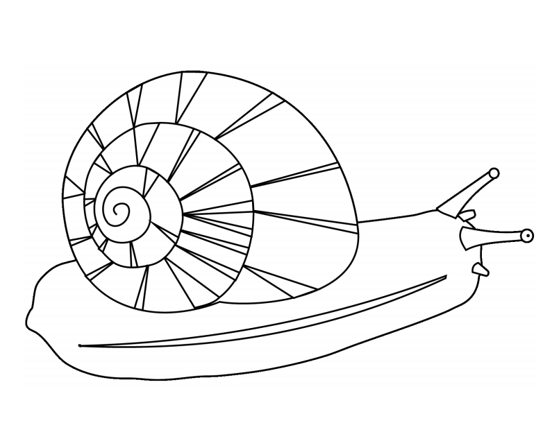 Coloring Page Of A Snail