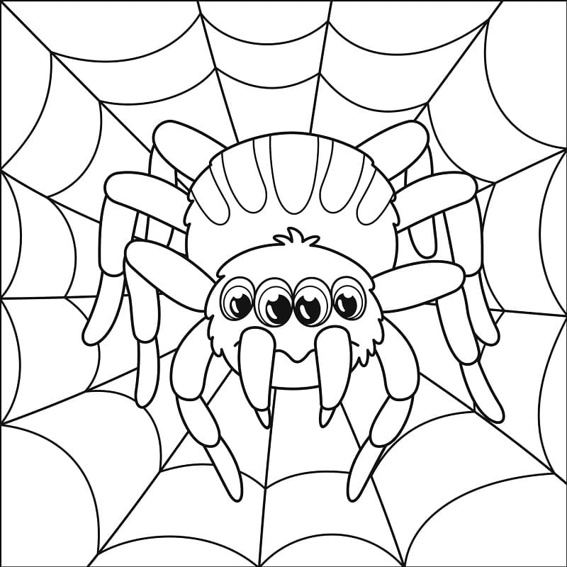 Adorable Spider Coloring Page Free Printable Coloring Pages For Kids