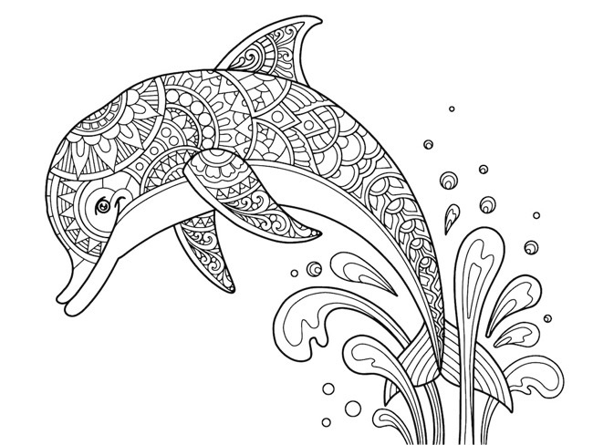 Coloring Page Dolphin