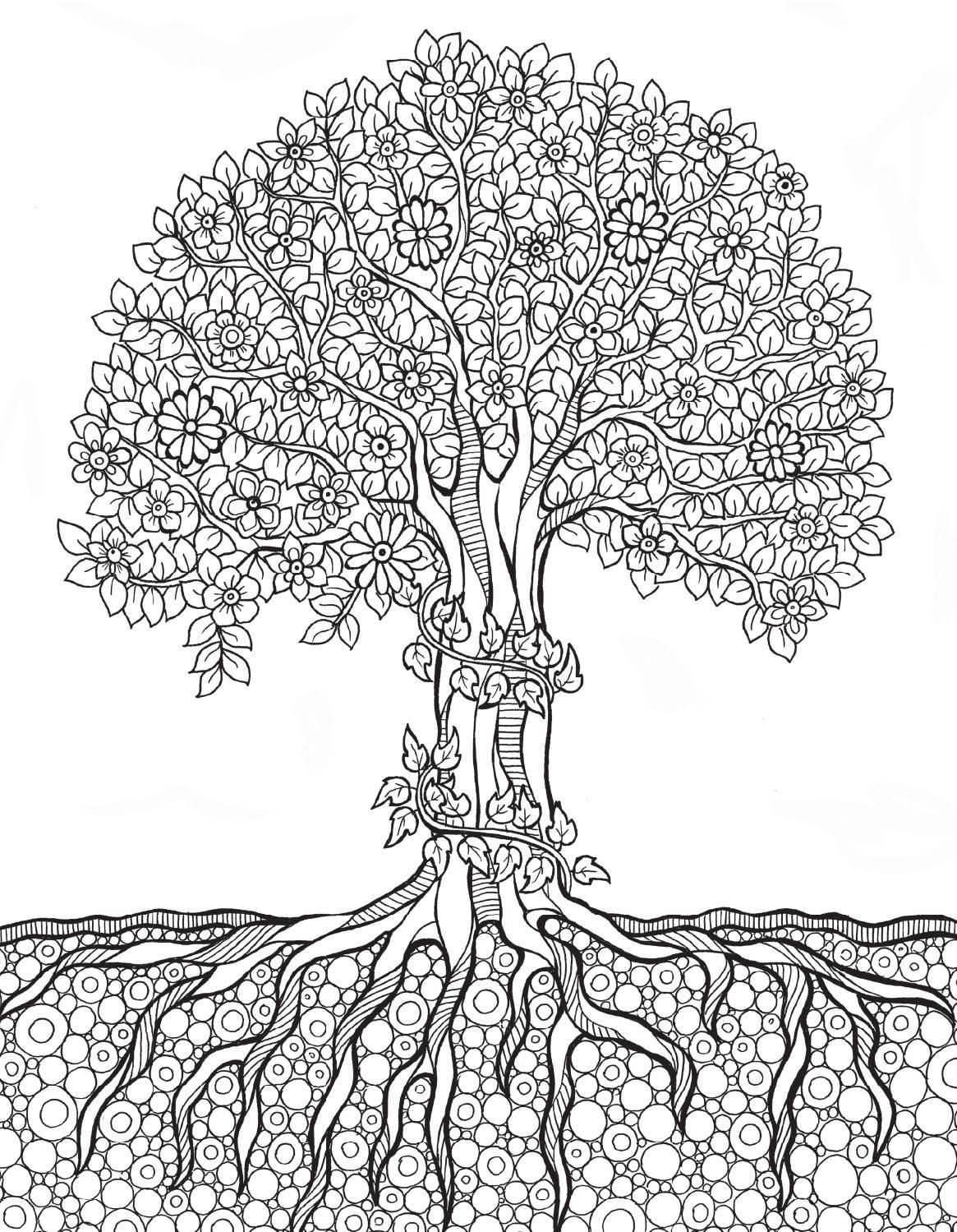 Adult Coloring Pages Trees
