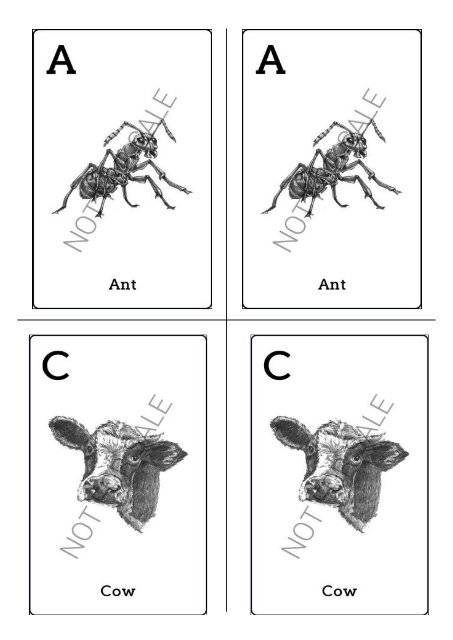 Animal 4D Cards