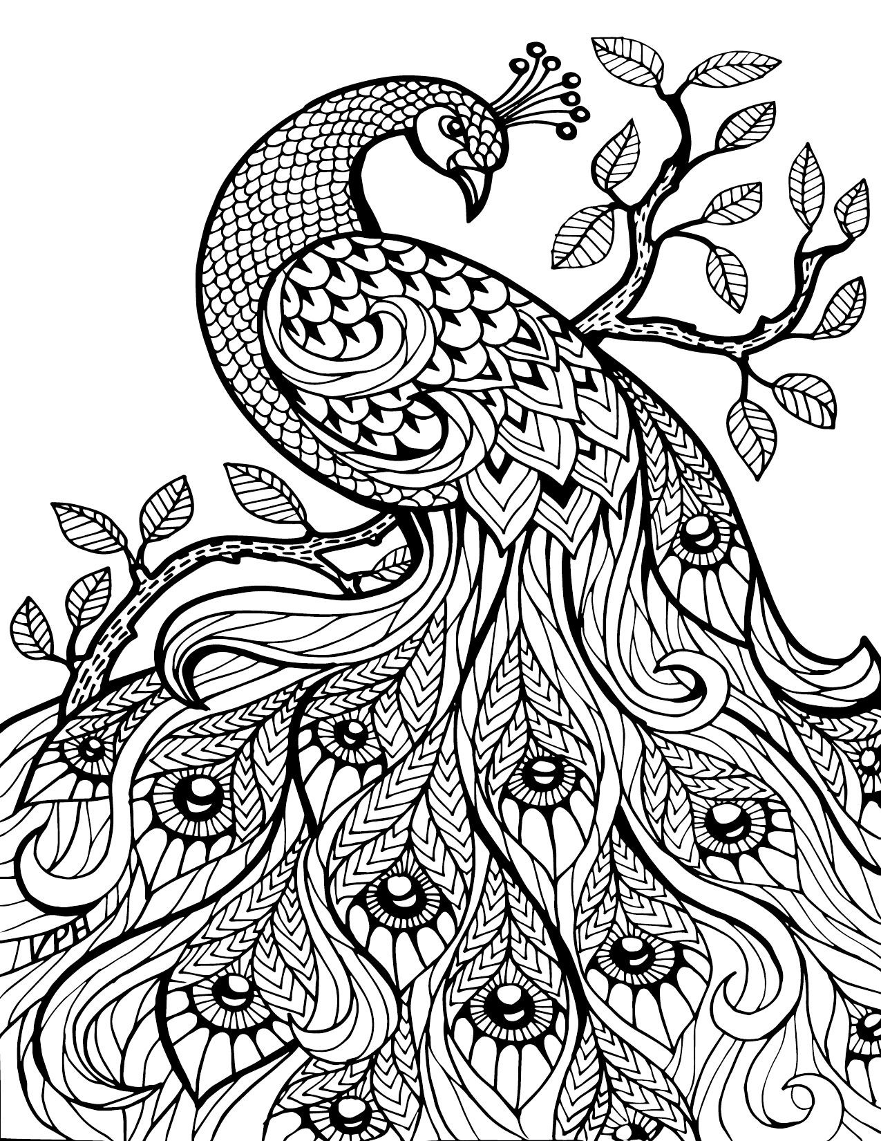 Animal Mandala Coloring Pages At GetDrawings Free Download