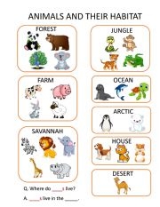 Animals And Their Habitats ESL Worksheet By Marinest