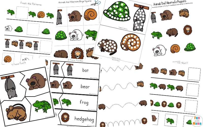 Animals That Hibernate Printable Pack Fun With Mama