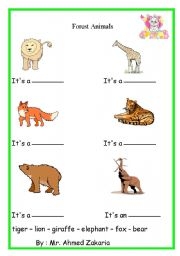 Animals That Live In Trees Worksheet