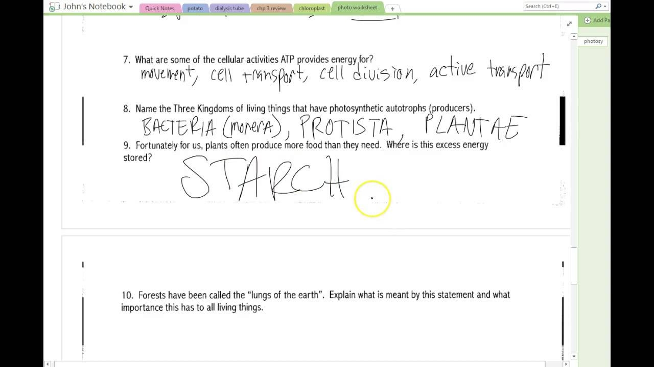 Answers Photosynthesis Worksheet Worksheets Library