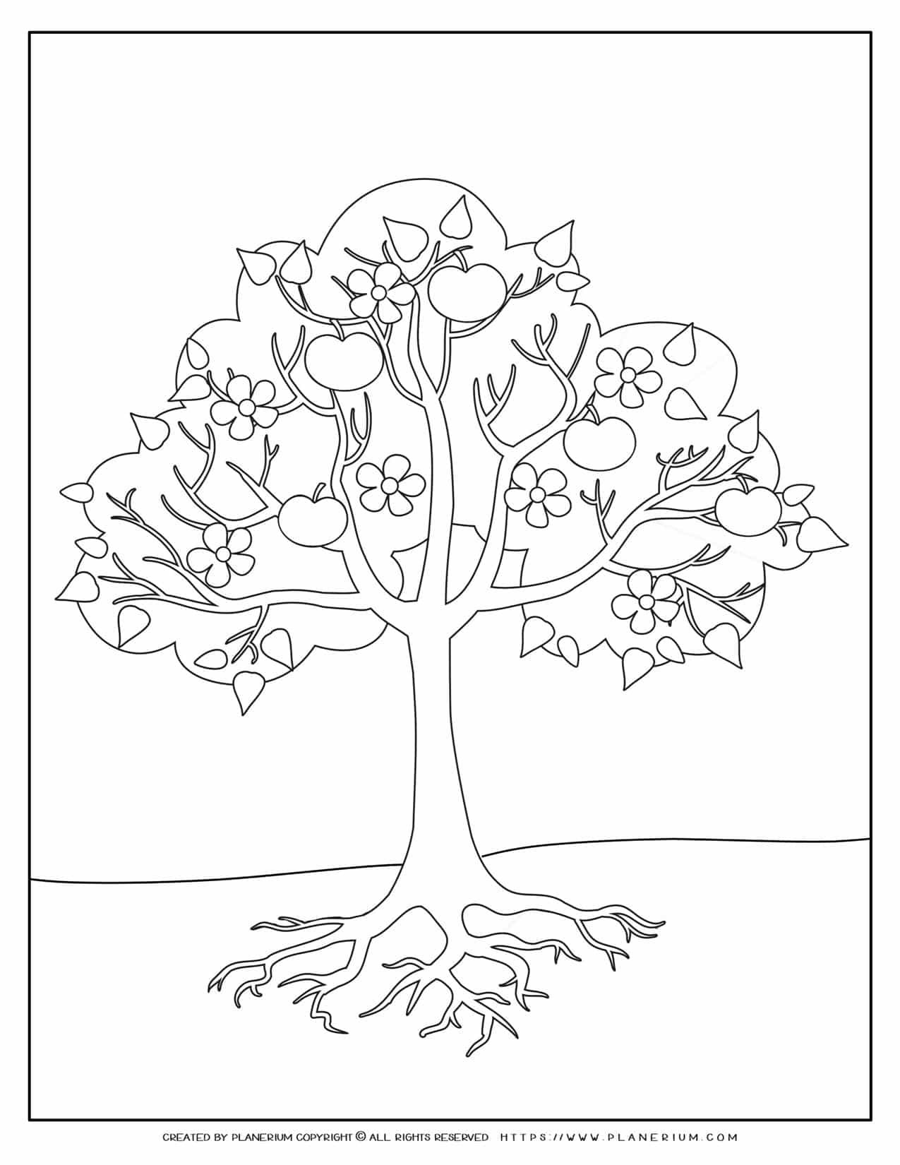Apple Tree Coloring Page Coloring Pages