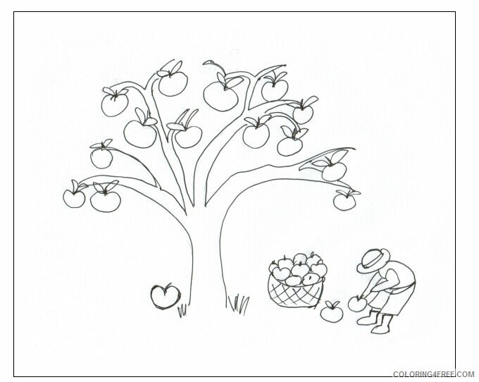 Apple Tree Pictures To Color Printable Sheets Apple Tree Page Coloring 