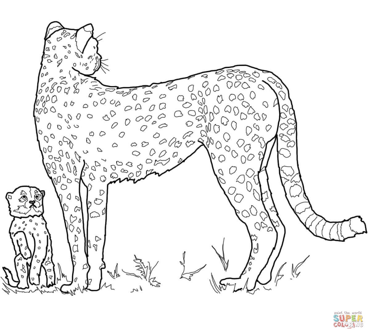 Baby Cheetah For Coloring Pages Coloring Home