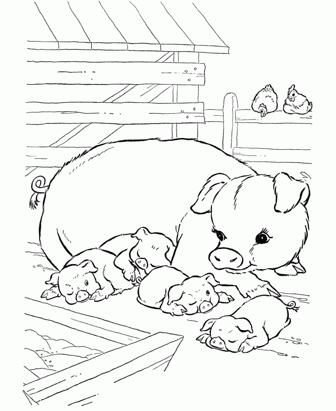 Baby Pig Coloring Pages Coloring Home