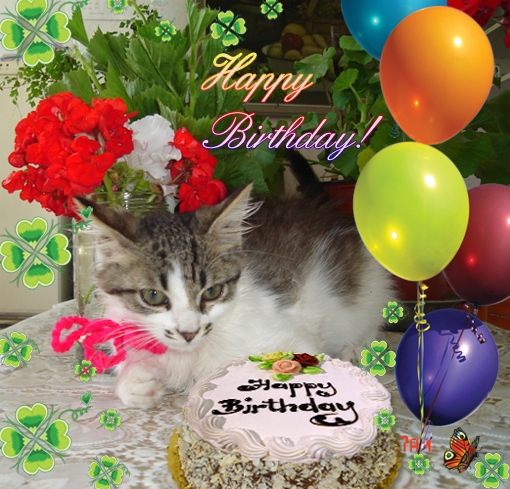 123 greetings printable birthday cards