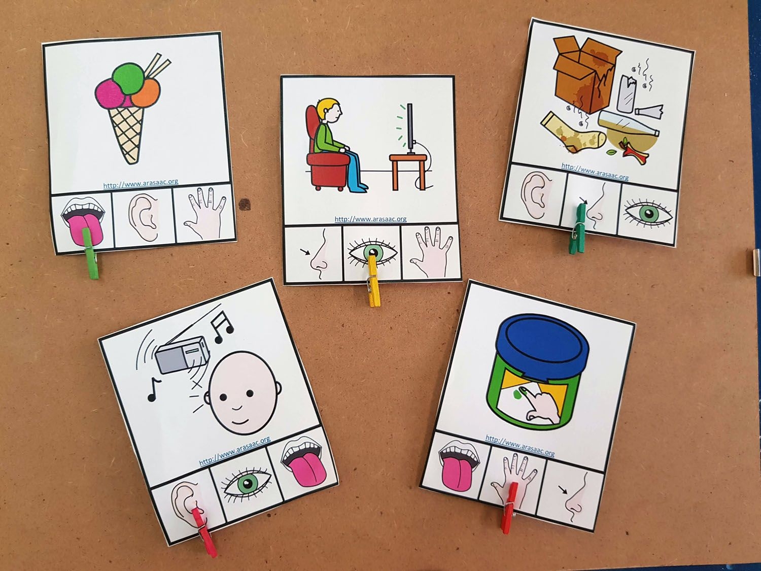 Best 12 Subscriber Freebie 5 Senses Clip Cards Artofit