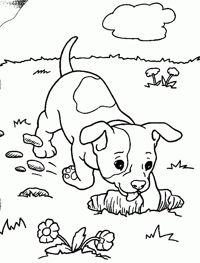 Coloring Pages For Dogs