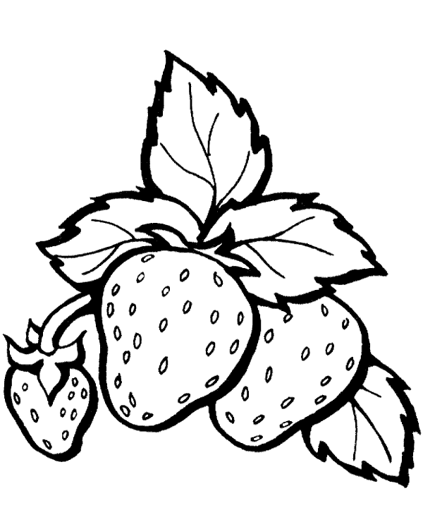 Big Strawberries Coloring Sheet Topcoloringpages