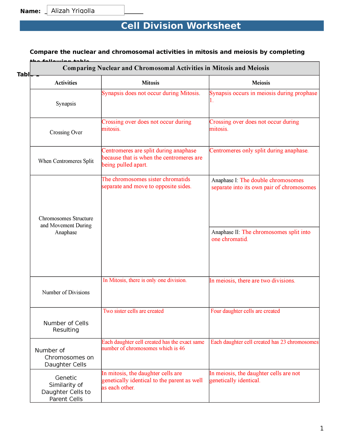 Bio181L 08 Worksheet Lab 8 Name Cell Division Worksheet 1 