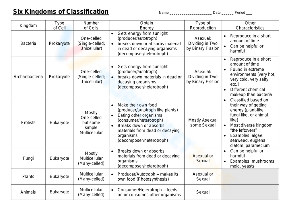 kingdom classification worksheet