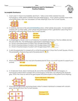incomplete dominance and codominance worksheet