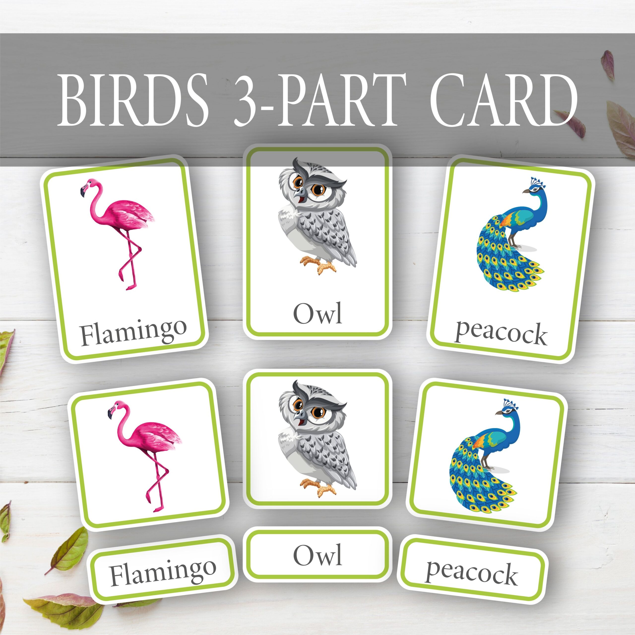 BIRD Three Part Flash Cards Homeschool Animal Printable For Kids 