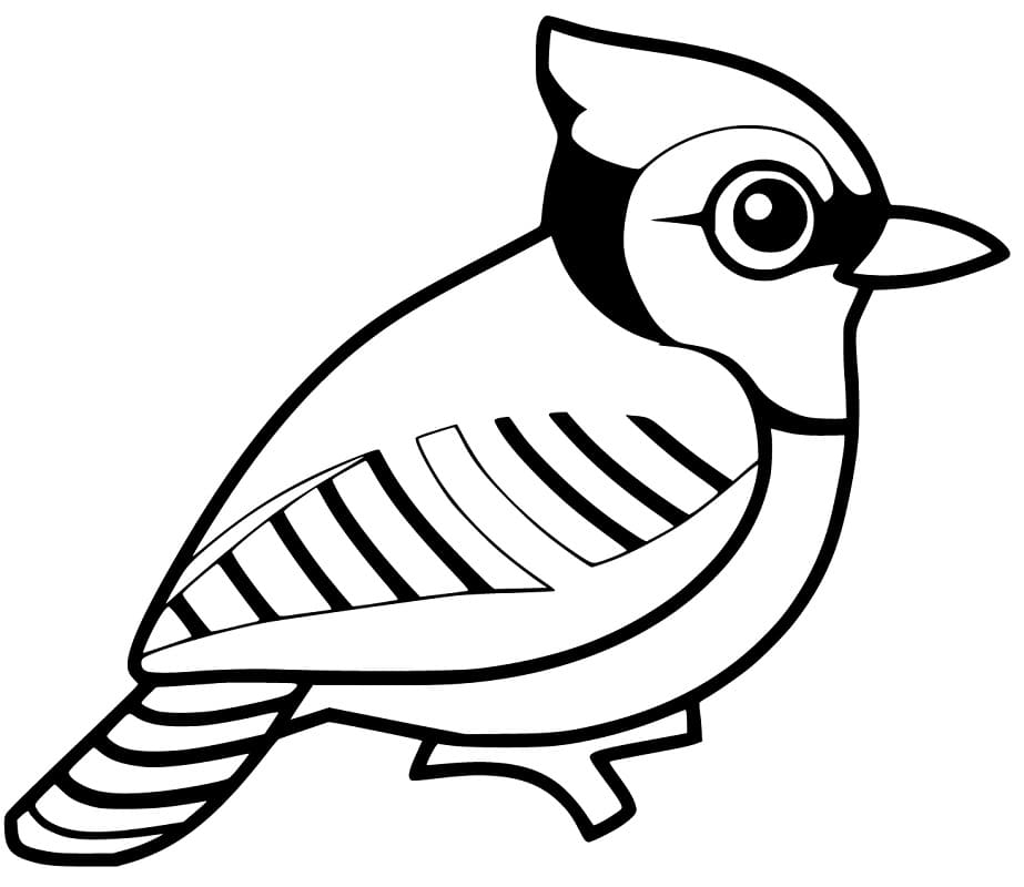 Blue Jay 6 Coloring Page Free Printable Coloring Pages For Kids